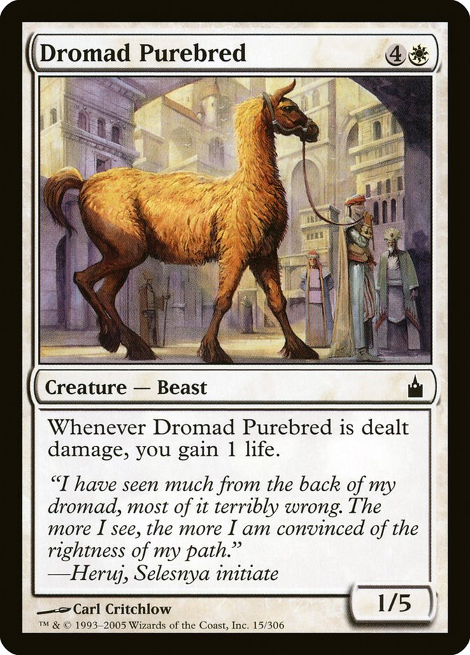 Dromad Purebred [Ravnica: City of Guilds] - Waypoint Games CA