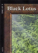 Black Lotus (1 of 9) (Ultra PRO Puzzle Quest) [Media Promos] - Waypoint Games CA