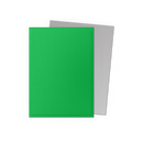 Dragon Shield Dual Matte Apple Green Silver Sleeves 100ct