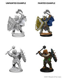 D&D Nolzur's Marvelous Miniatures: Dragonborn Paladin