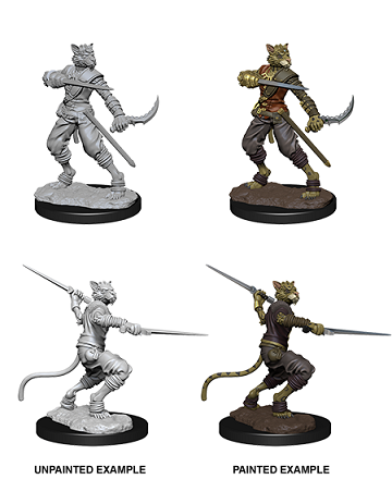 D&D Nolzur's Marvelous Miniatures: Tabaxi Rogue
