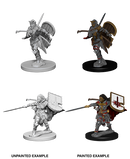 Pathfinder Deep Cuts Unpainted Minis: Human Female Paladin