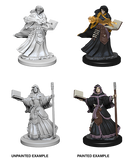 D&D Nolzur's Marvelous Miniatures: Human Wizard