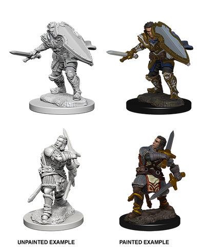D&D Nolzur's Marvelous Miniatures: Human Paladin