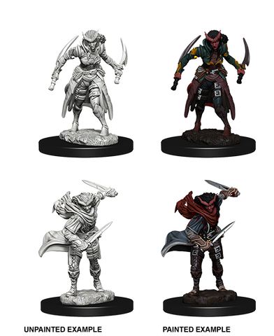 D&D Nolzur's Marvelous Miniatures: Tiefling Rogue