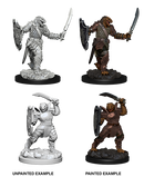 D&D Nolzur's Marvelous Miniatures: Dragonborn Paladin