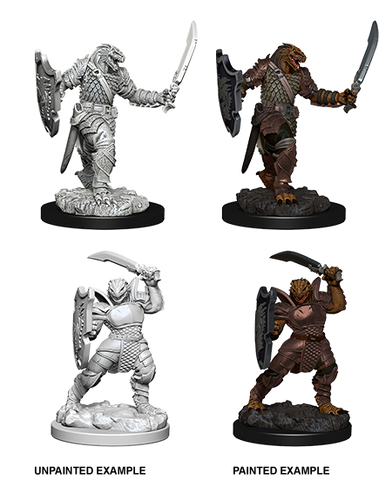 D&D Nolzur's Marvelous Miniatures: Dragonborn Paladin