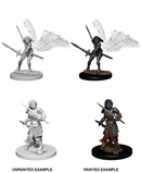 D&D Nolzur's Marvelous Miniatures: Aasimar Paladin