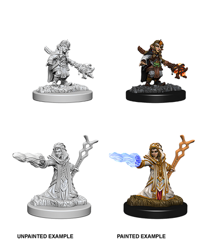 D&D Nolzur's Marvelous Miniatures: Gnome Wizard