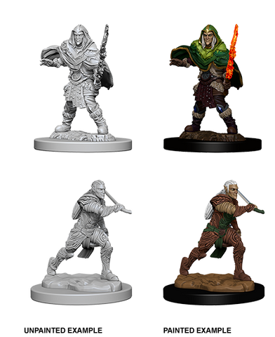 D&D Nolzur's Marvelous Miniatures: Elf Fighter