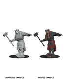 D&D Nolzur's Marvelous Miniatures: Giant