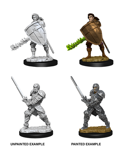 D&D Nolzur's Marvelous Miniatures: Human Fighter