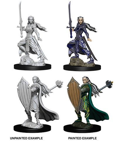 D&D Nolzur's Marvelous Miniatures: Elf Paladin
