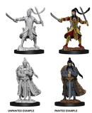 D&D Nolzur's Marvelous Miniatures: Elf Paladin