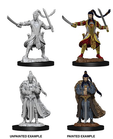 D&D Nolzur's Marvelous Miniatures: Elf Paladin