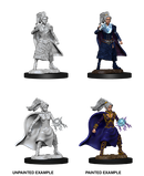 D&D Nolzur's Marvelous Miniatures: Human Sorcerer