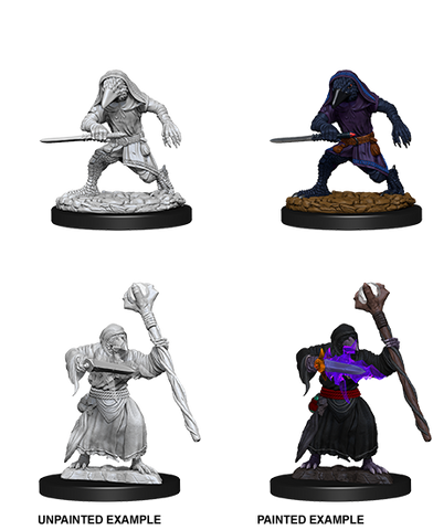 D&D Nolzur's Marvelous Miniatures: Kenku Adventurers