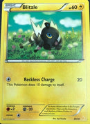 Blitzle (26/30) [XY: Trainer Kit 3 - Pikachu Libre] - Waypoint Games CA