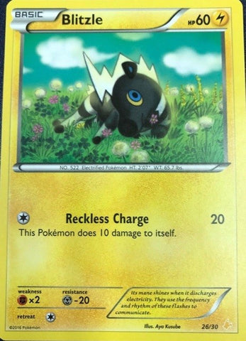 Blitzle (26/30) [XY: Trainer Kit 3 - Pikachu Libre] - Waypoint Games CA